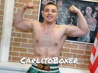 CarlitoBoxer