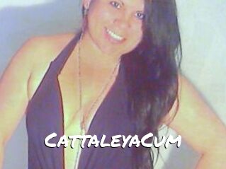 CattaleyaCum