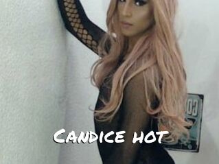 Candice_hot