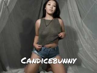 Candicebunny