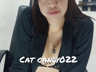 Cat_candy022