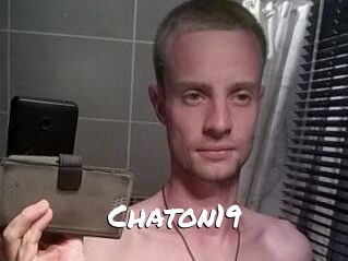 Chaton19