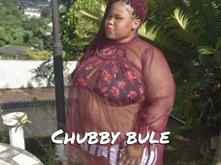 Chubby_bule