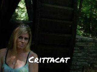 Crittacat