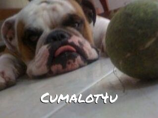 Cumalot4u