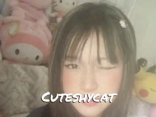 Cuteshycat