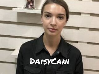 DaisyCani