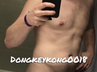 Dongkeykong0018