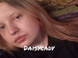 Daisycady