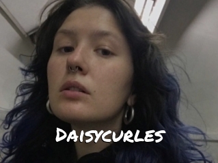 Daisycurles