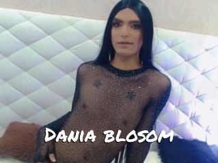 Dania_blosom