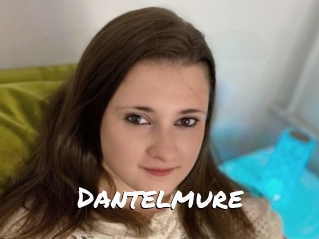 Dantelmure