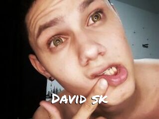 David_sk