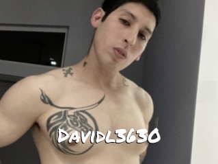 Davidl3630