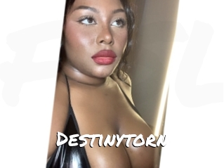 Destinytorn