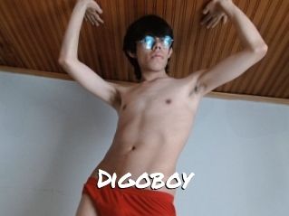 Digoboy