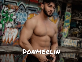 Donmerlin