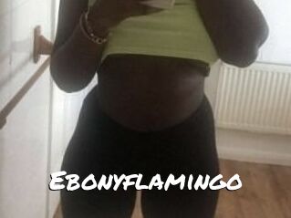 Ebony_flamingo