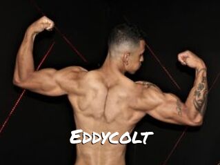 Eddycolt