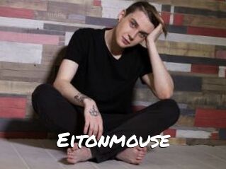 Eitonmouse