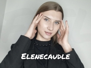 Elenecaudle