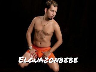 Elguazonbebe