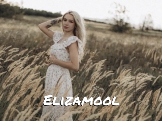 Elizamool