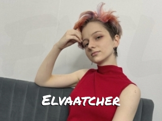 Elvaatcher