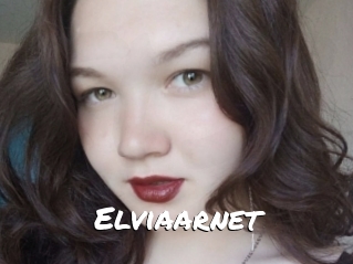 Elviaarnet