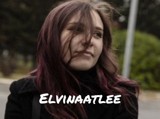 Elvinaatlee