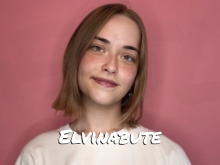 Elvinabute