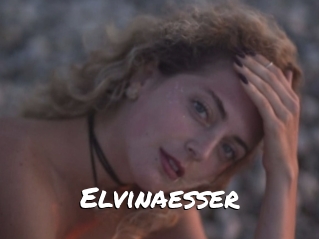 Elvinaesser