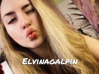 Elvinagalpin