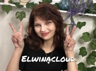 Elwinacloud