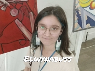 Elwynabuss