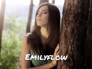 Emilyflow