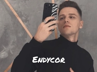 Endycor