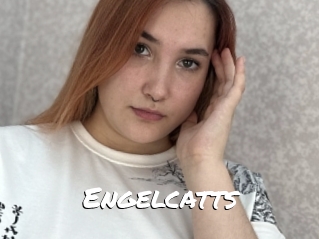 Engelcatts