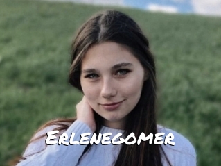 Erlenegomer