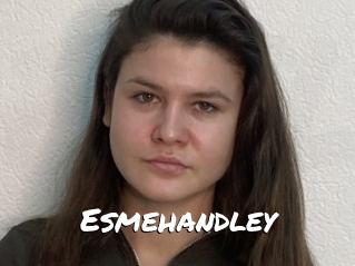 Esmehandley