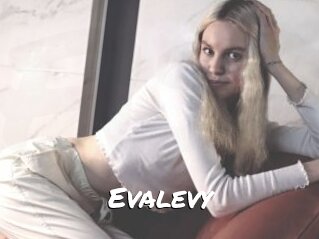 Evalevy