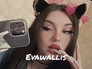 Evawallis