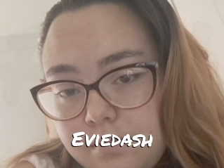 Eviedash