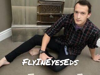 FlyInEyesEds