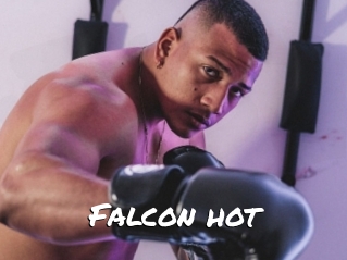 Falcon_hot