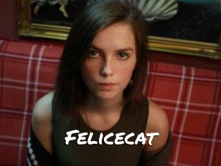 Felicecat