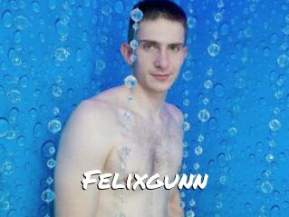 Felixgunn