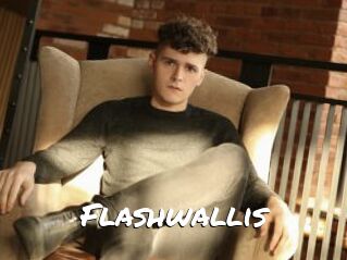 Flashwallis