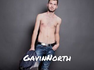 GavinNorth