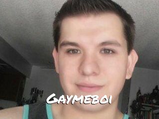Gaymeboi